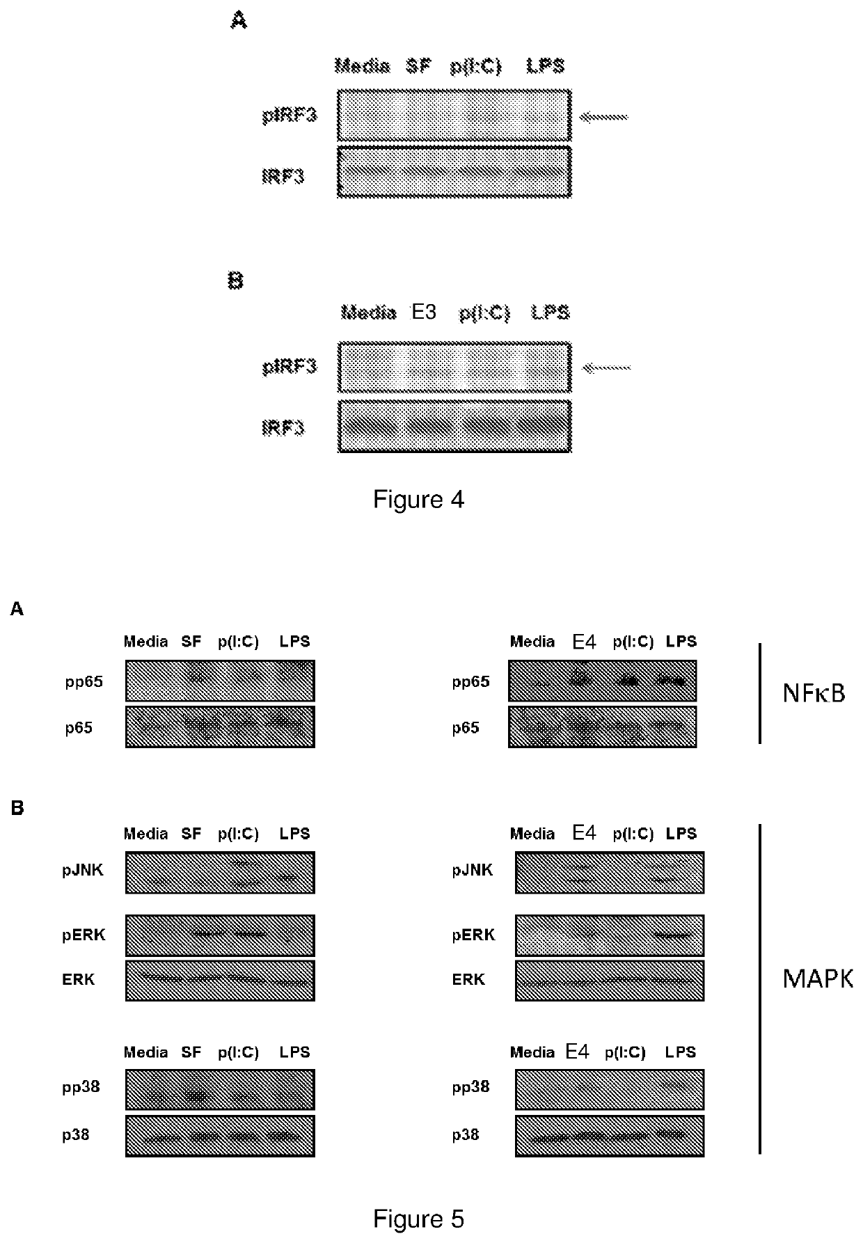 Immunological extract and method of production