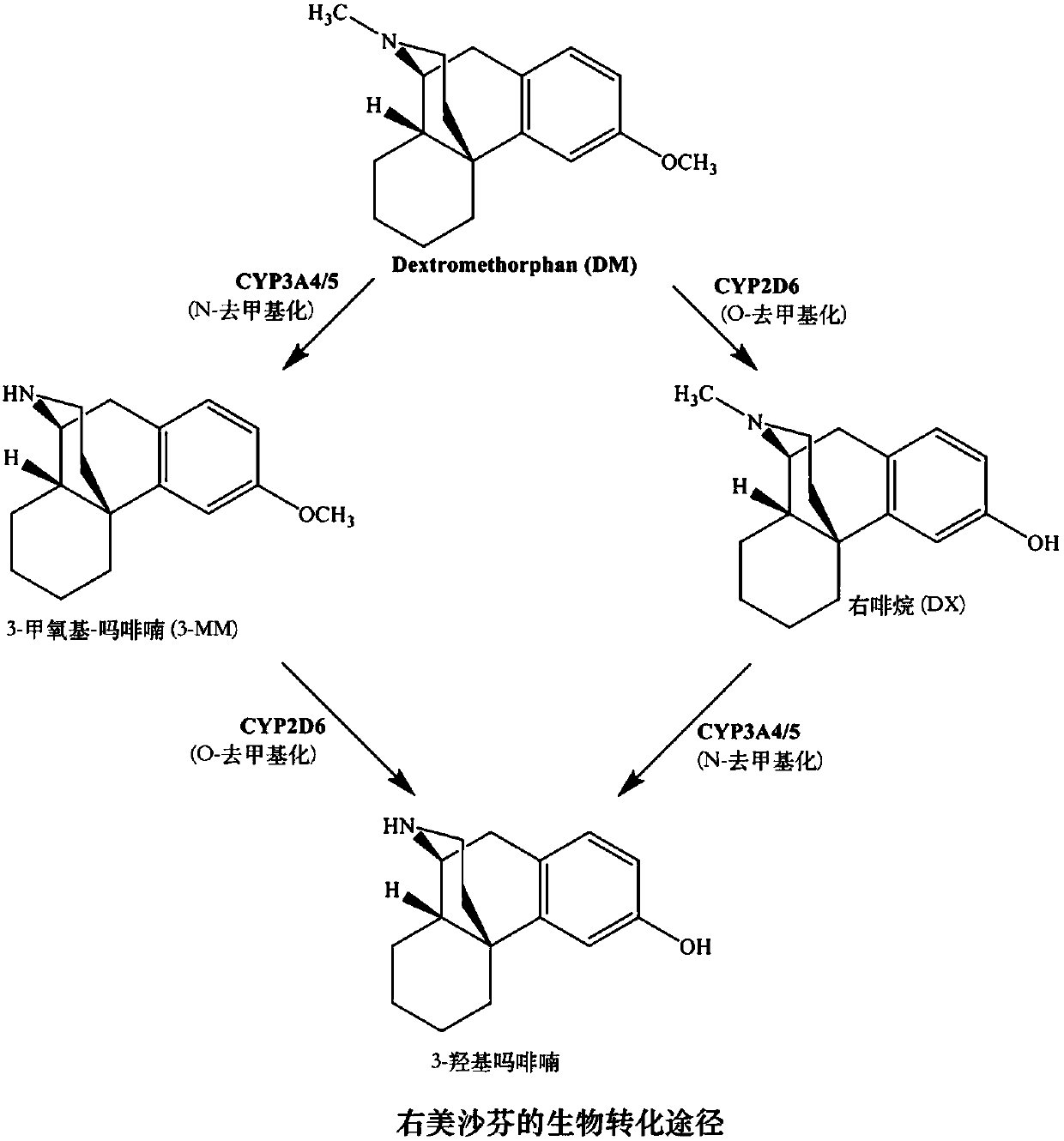 Methods for the synthesis of deuterated dextromethorphan