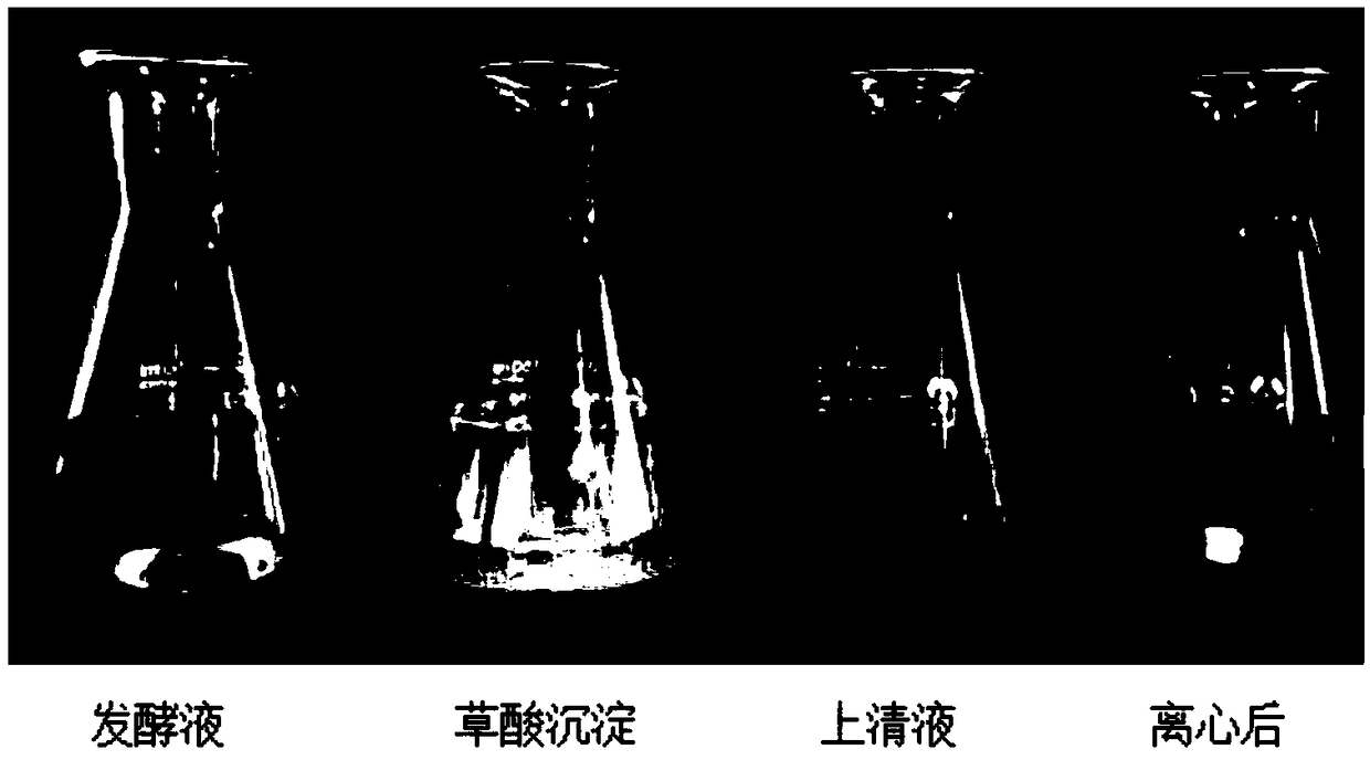 Method for separating wuyiencin from fermentation liquor