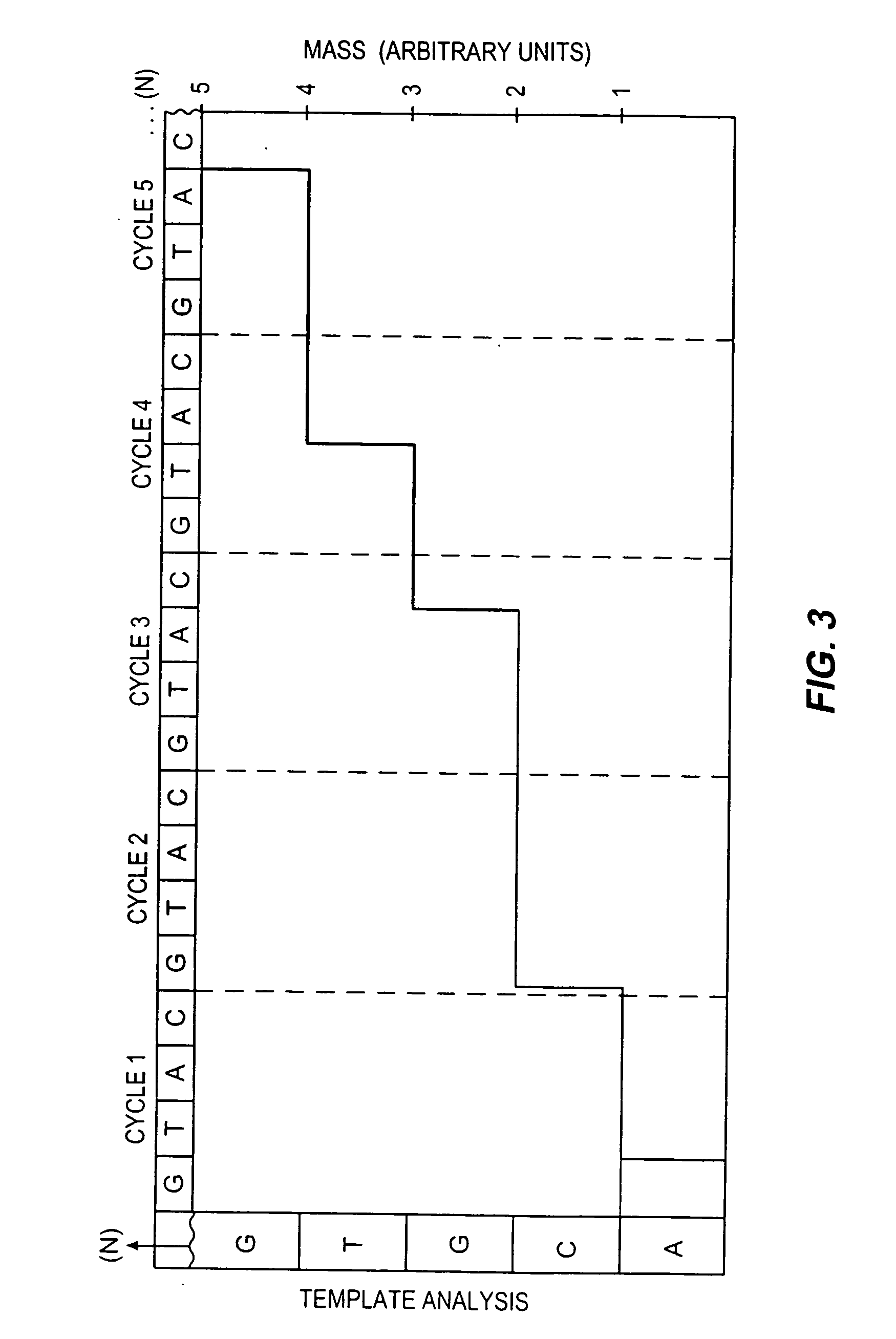 Method for sequencing nucleic acids by observing the uptake of nucleotides modified with bulky groups
