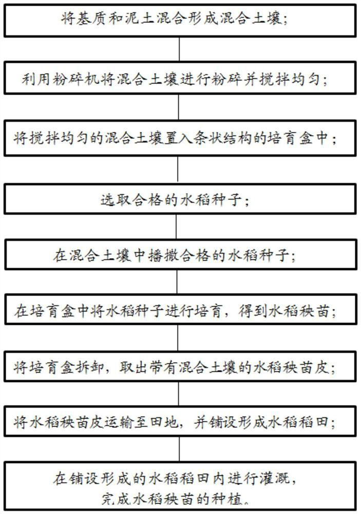 Efficient rice seedling planting method