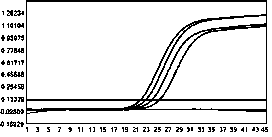 Primers and probes for rapid detection and identification of cryptococcus and their application