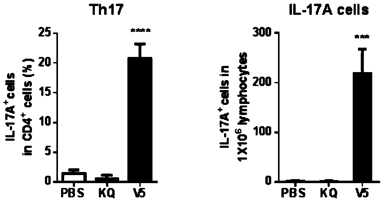 A broad-spectrum multiple subunit vaccine against Streptococcus suis infection