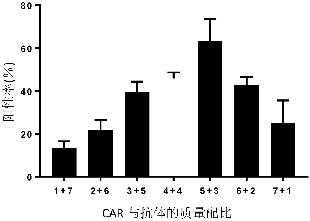 CAR-T cell of autocrine CD40 antibody and targeted ErbB receptor family