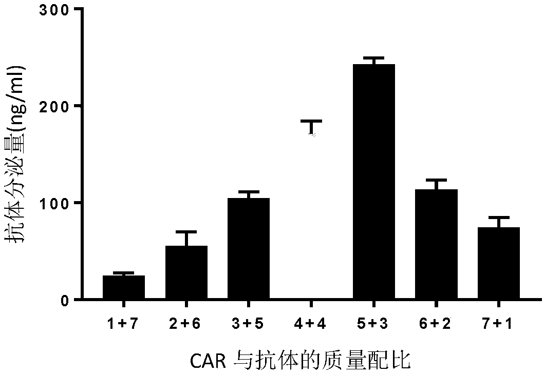 CAR-T cell of autocrine CD40 antibody and targeted ErbB receptor family