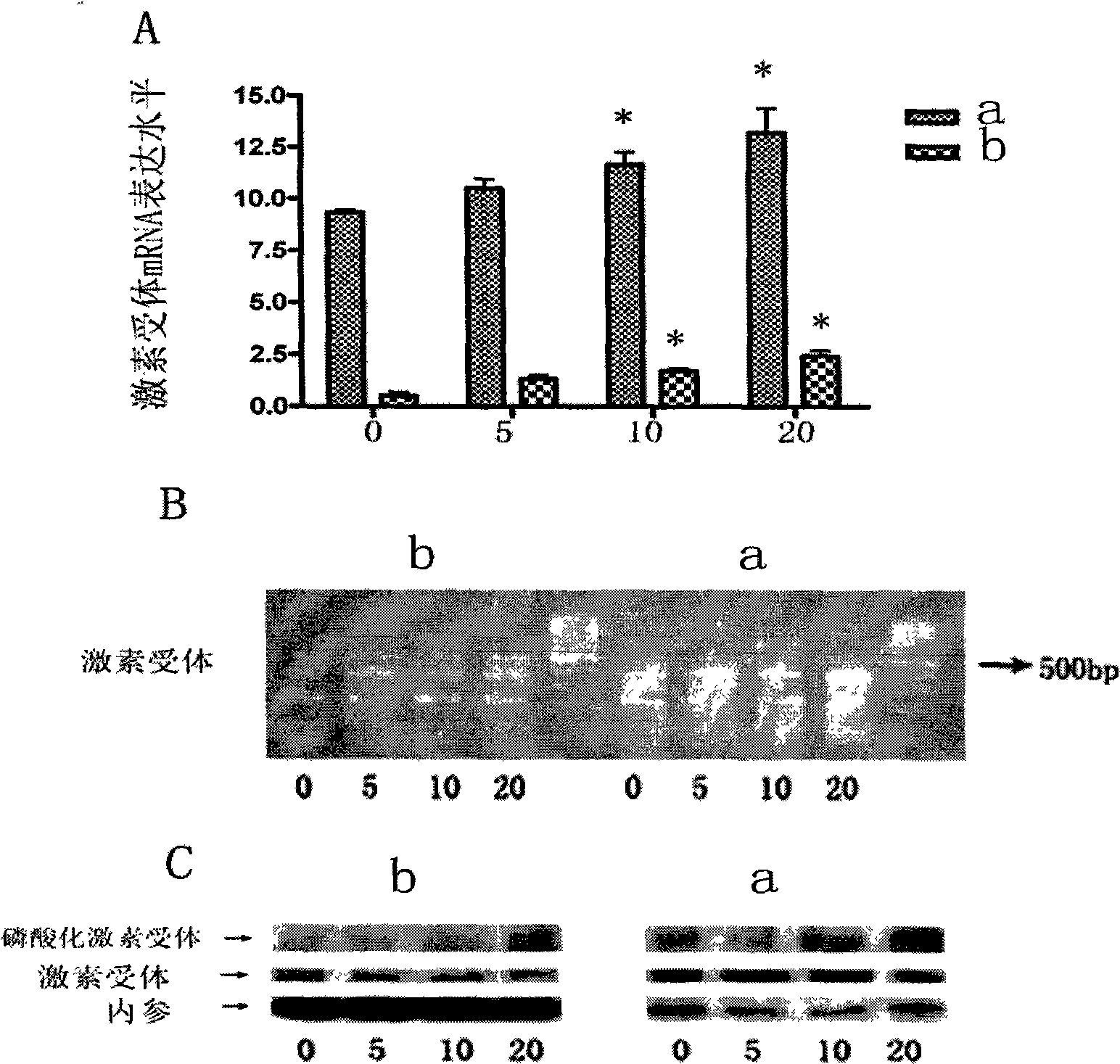 Pharmaceutical use of triptolide