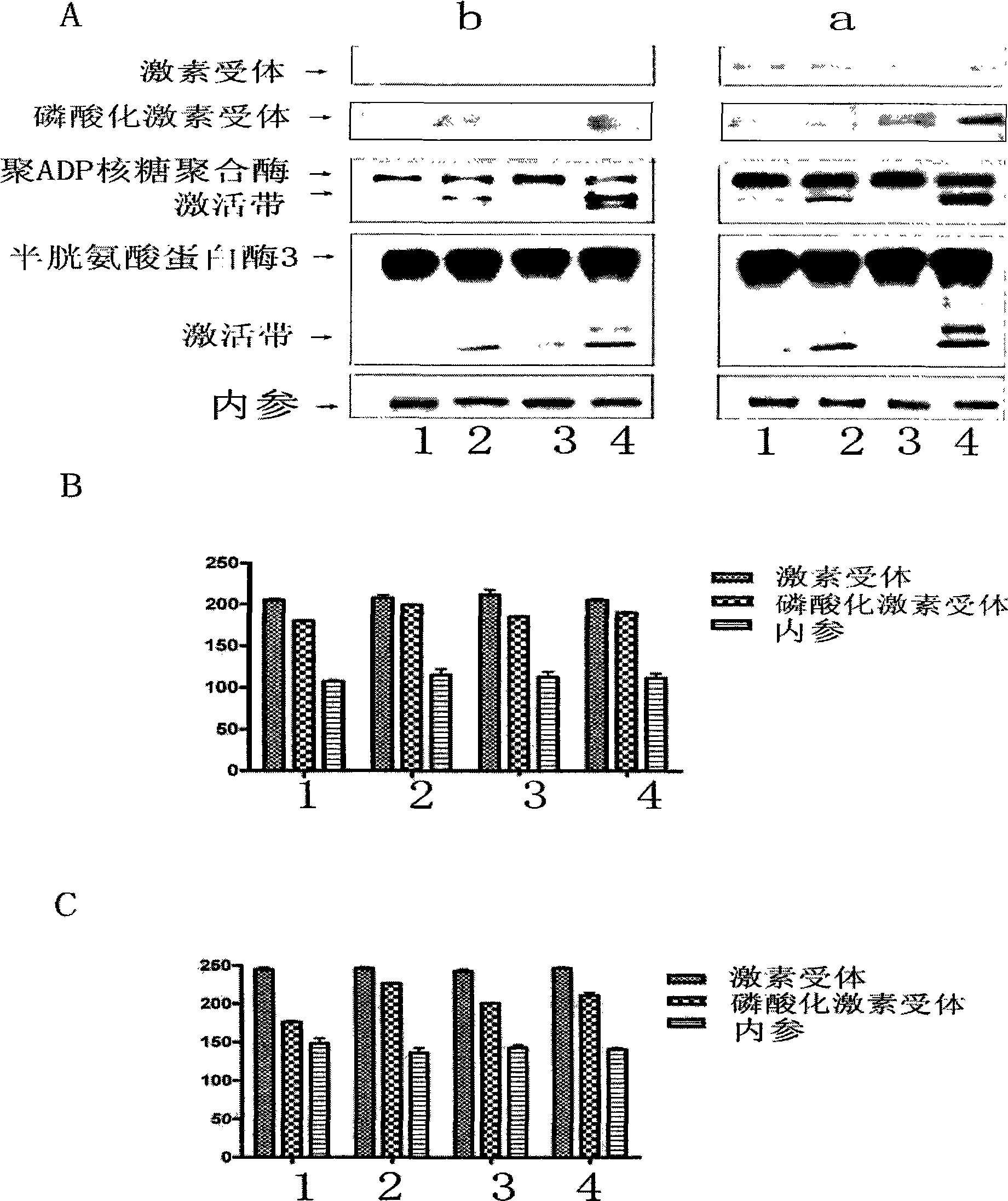 Pharmaceutical use of triptolide