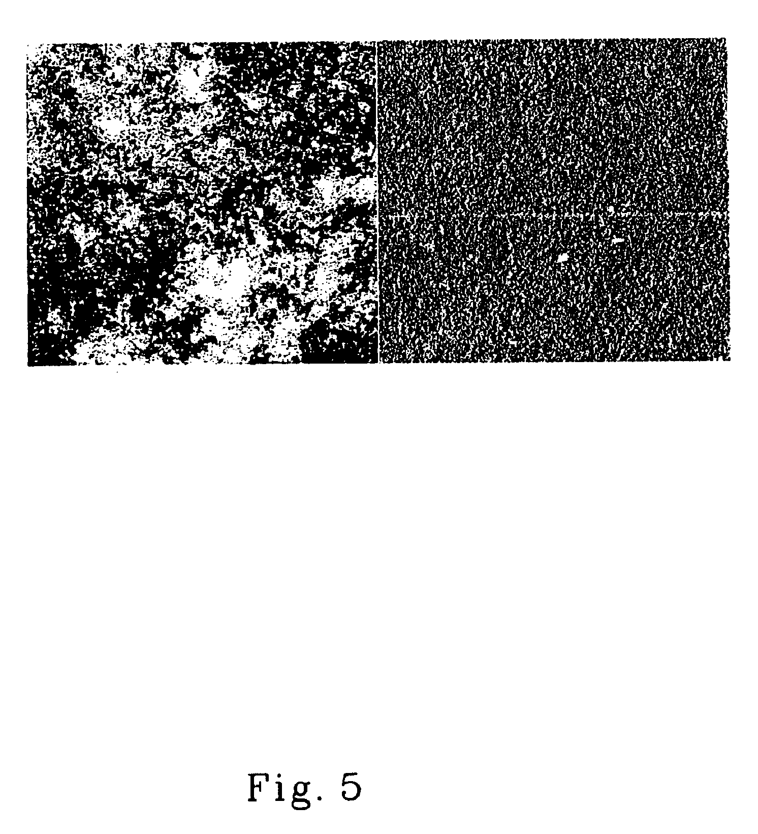 Coatings for modifying hard surfaces and processes for applying the same