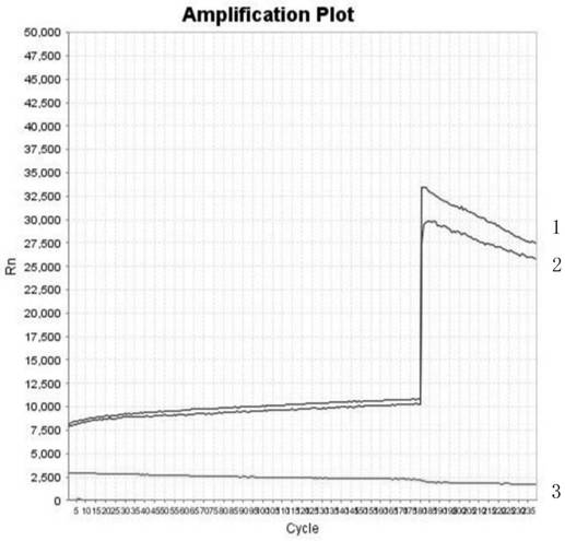 Method for detecting uracil-DNA glycosylase activity by using fluorescent probe