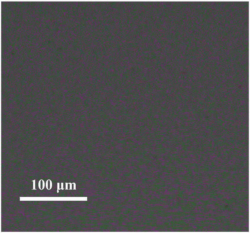 LED epitaxial wafer grown on magnesium aluminate scandium substrate and preparation method thereof