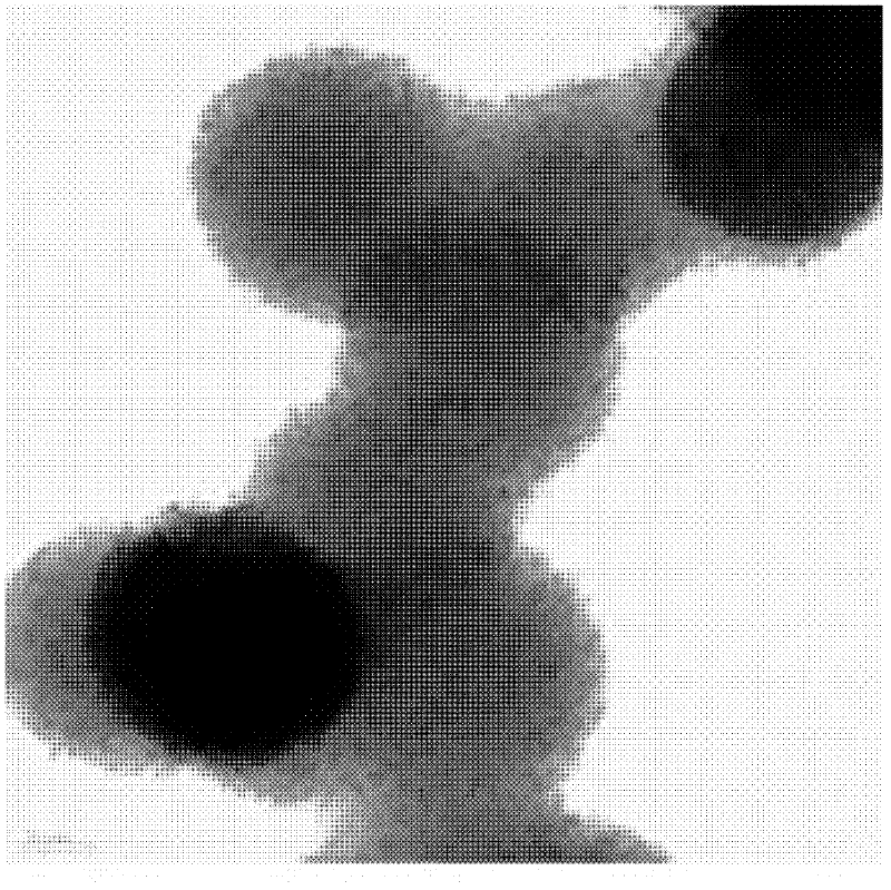 Carbon nano-sphere/modified titanium dioxide nano-sol composite and preparation method thereof