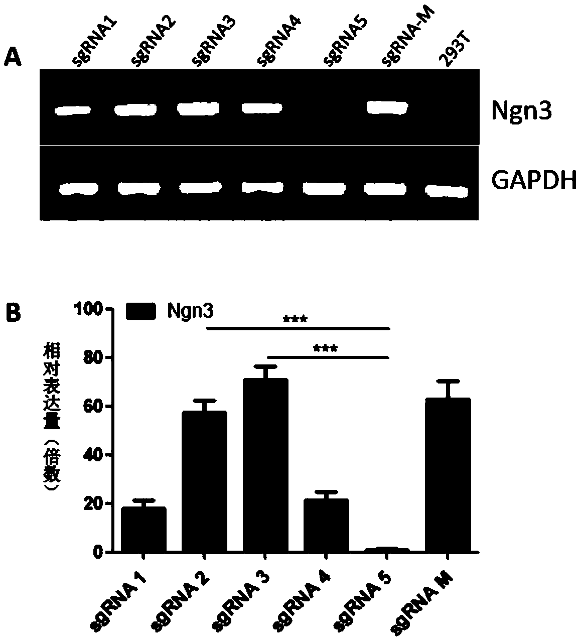 Method for activating gene expression of endogenous Ngn3 and MAFA