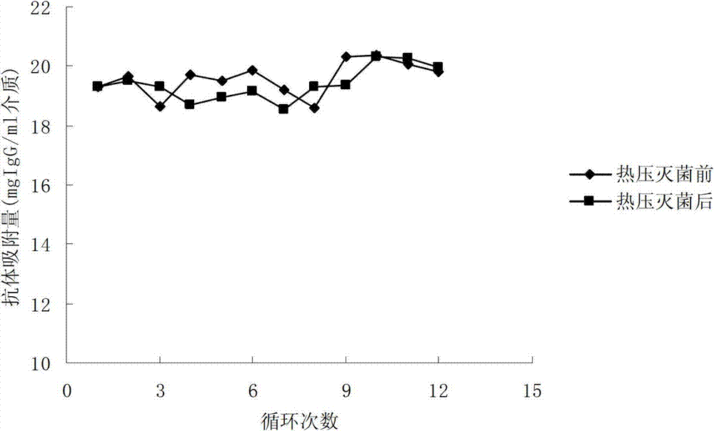 Protein A adsorption medium