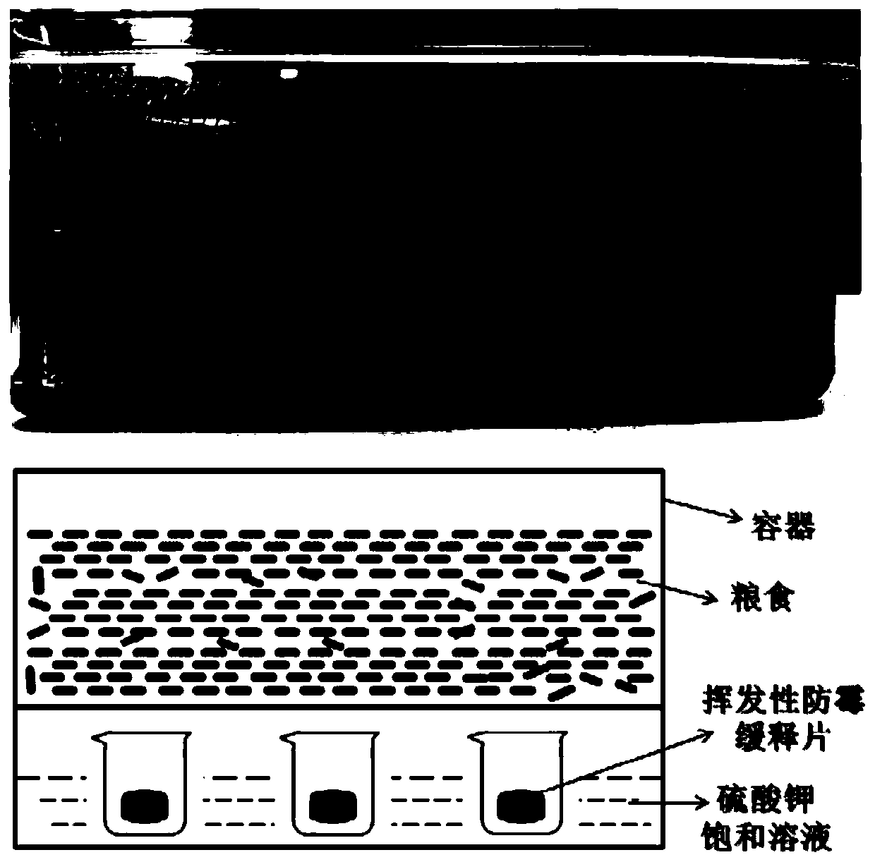 Volatile grain mould preventing sustained release tablet and preparation method thereof