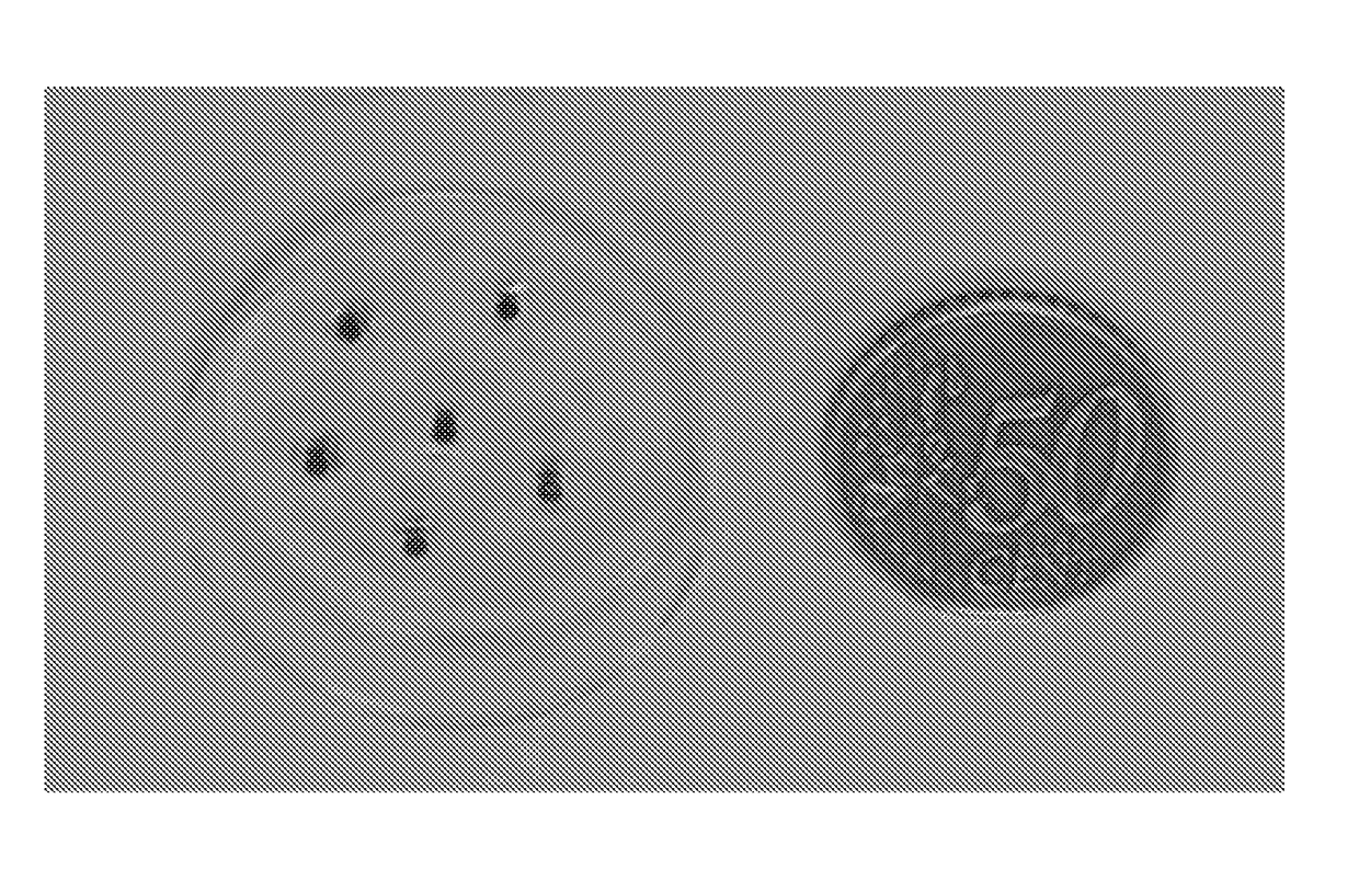 Fiducial marker for use in stereotactic radiosurgery and process of production