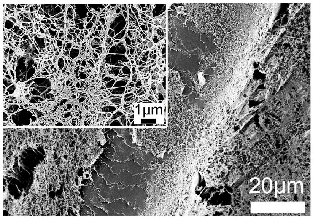 A kind of cellulose/animal hair composite material for triboelectric nanogenerator and self-driven sensor and its preparation method