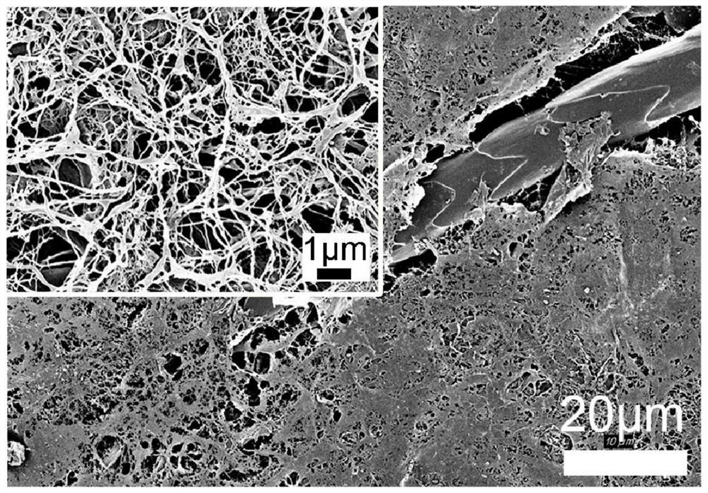 A kind of cellulose/animal hair composite material for triboelectric nanogenerator and self-driven sensor and its preparation method