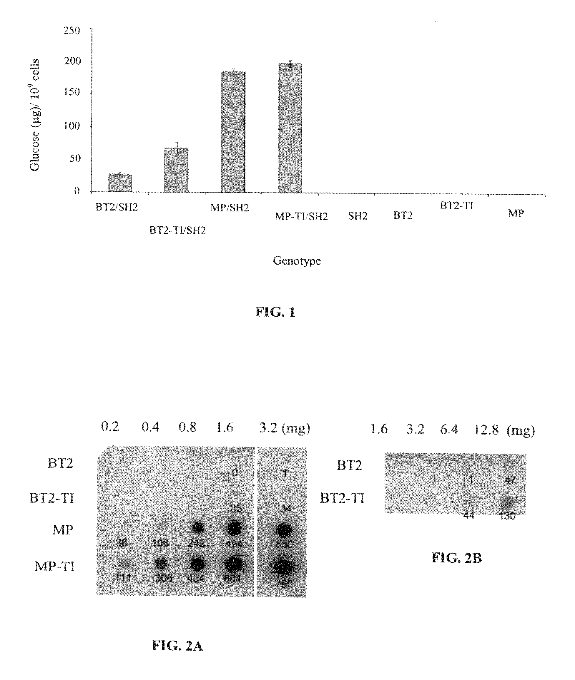 Heat resistant plants and plant tissues and methods and materials for making and using same