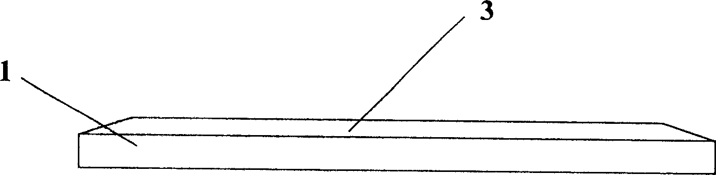 Cushioning and supporting device for conveyer belt