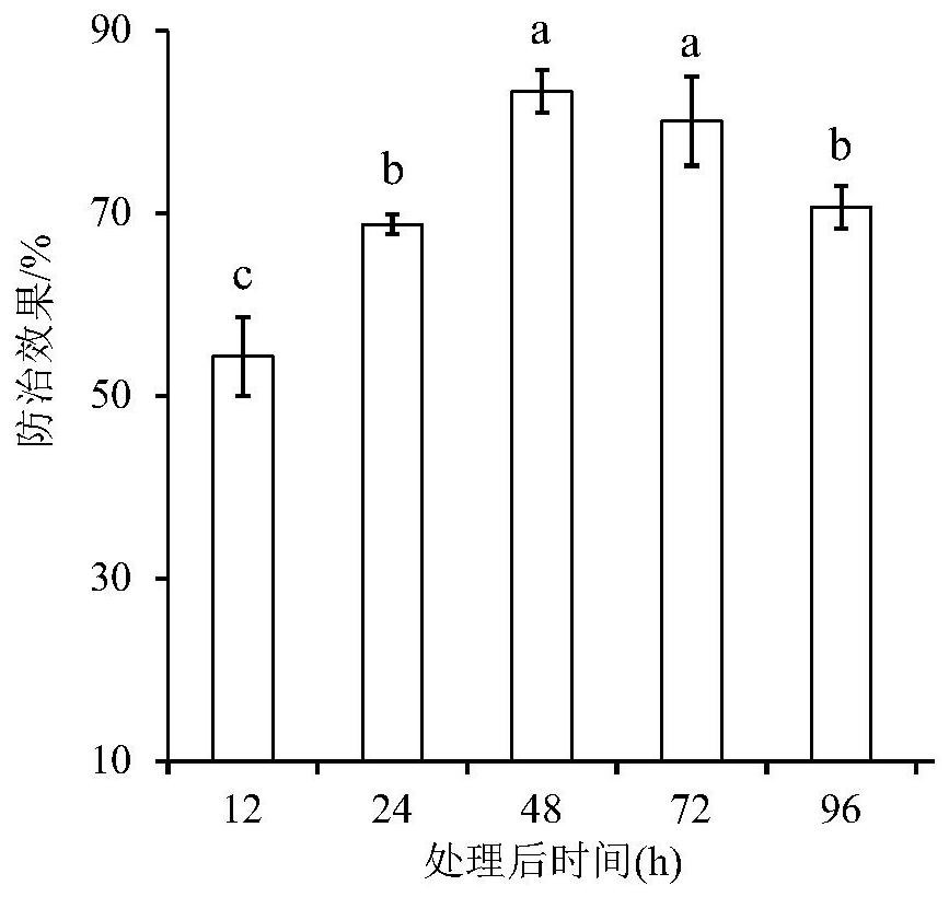 Application of pipecolic acid as plant disease resistance activator in the control of apple fruit diseases