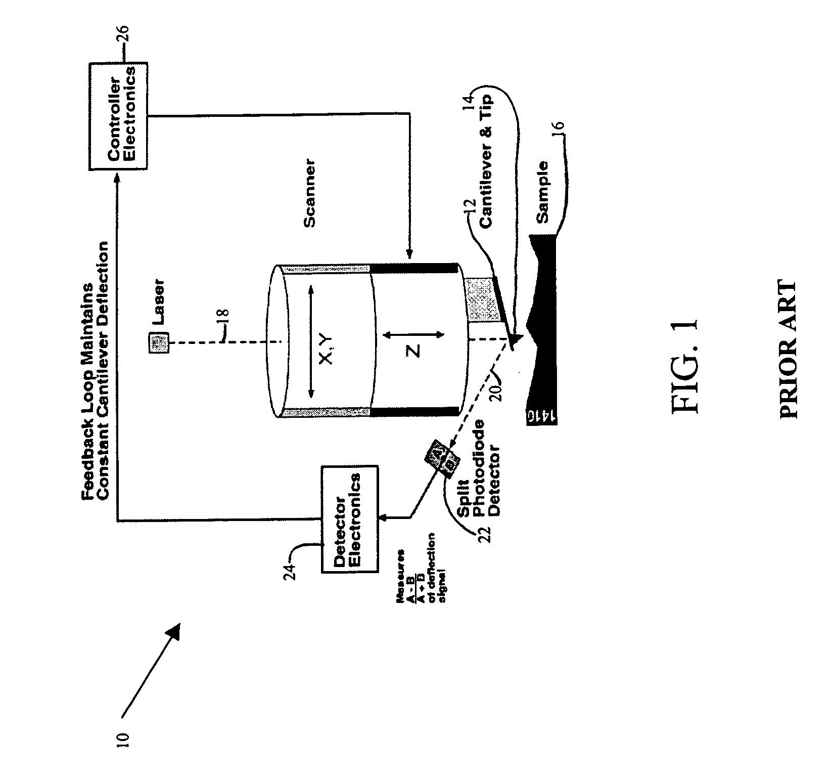 System and method for the analysis of atomic force microscopy data