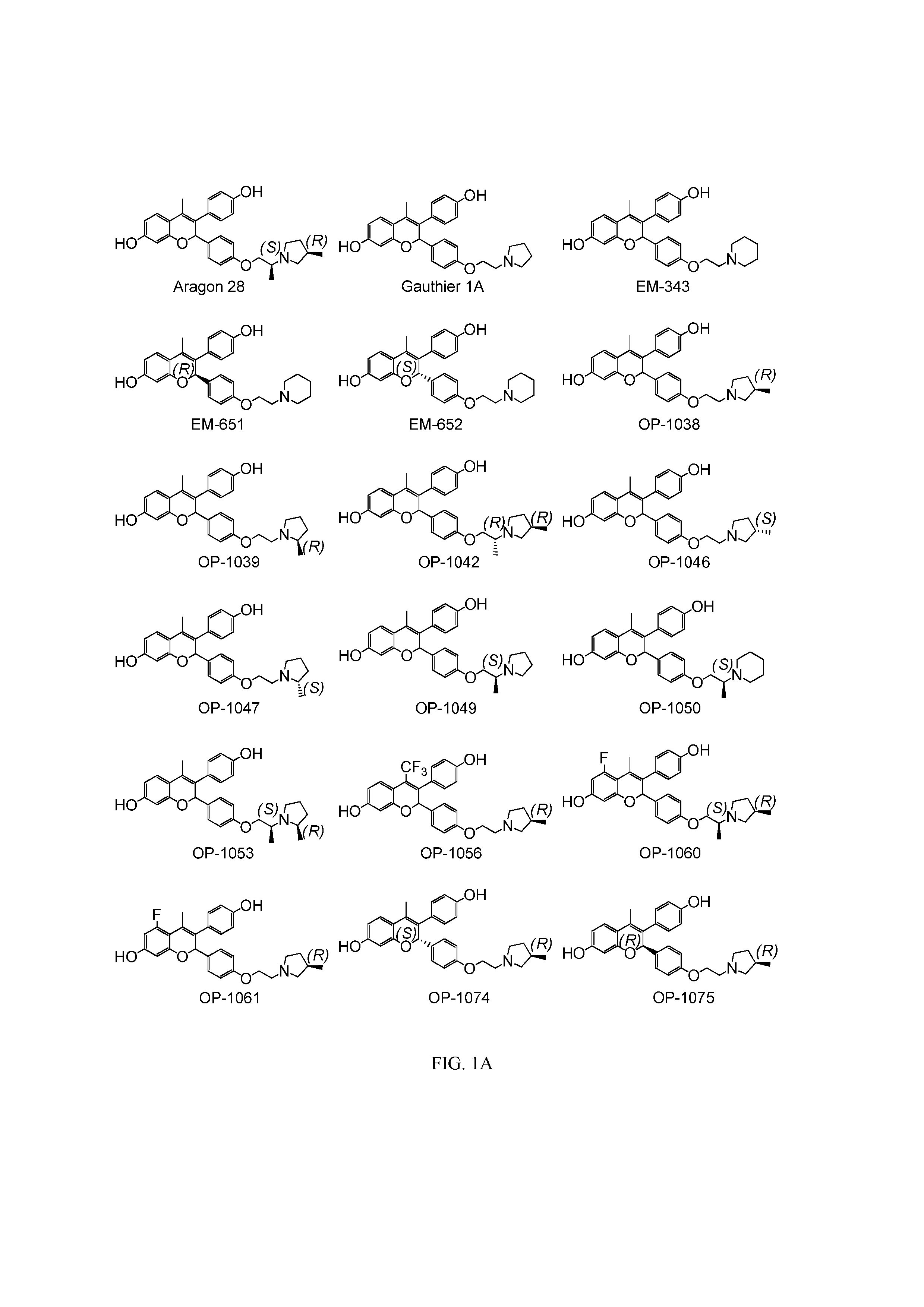 Novel Benzopyran Compounds, Compositions and Uses Thereof
