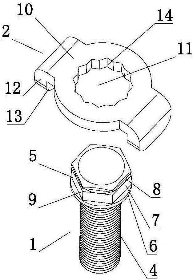 Fastening connection assembly, fastening connection structure and rail structure