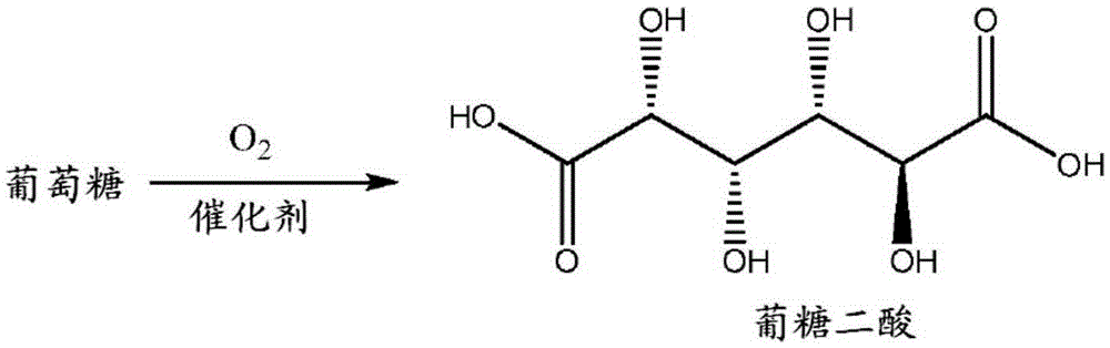 Production of adipic acid and derivatives from carbohydrate-containing materials