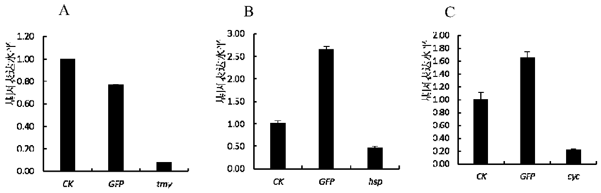 Kit of reagents and method for inhibiting gene expression of pine xylophilus