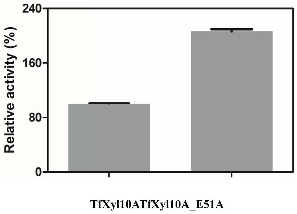 A kind of mutant heat-resistant and alkali-resistant xylanase for papermaking and its application