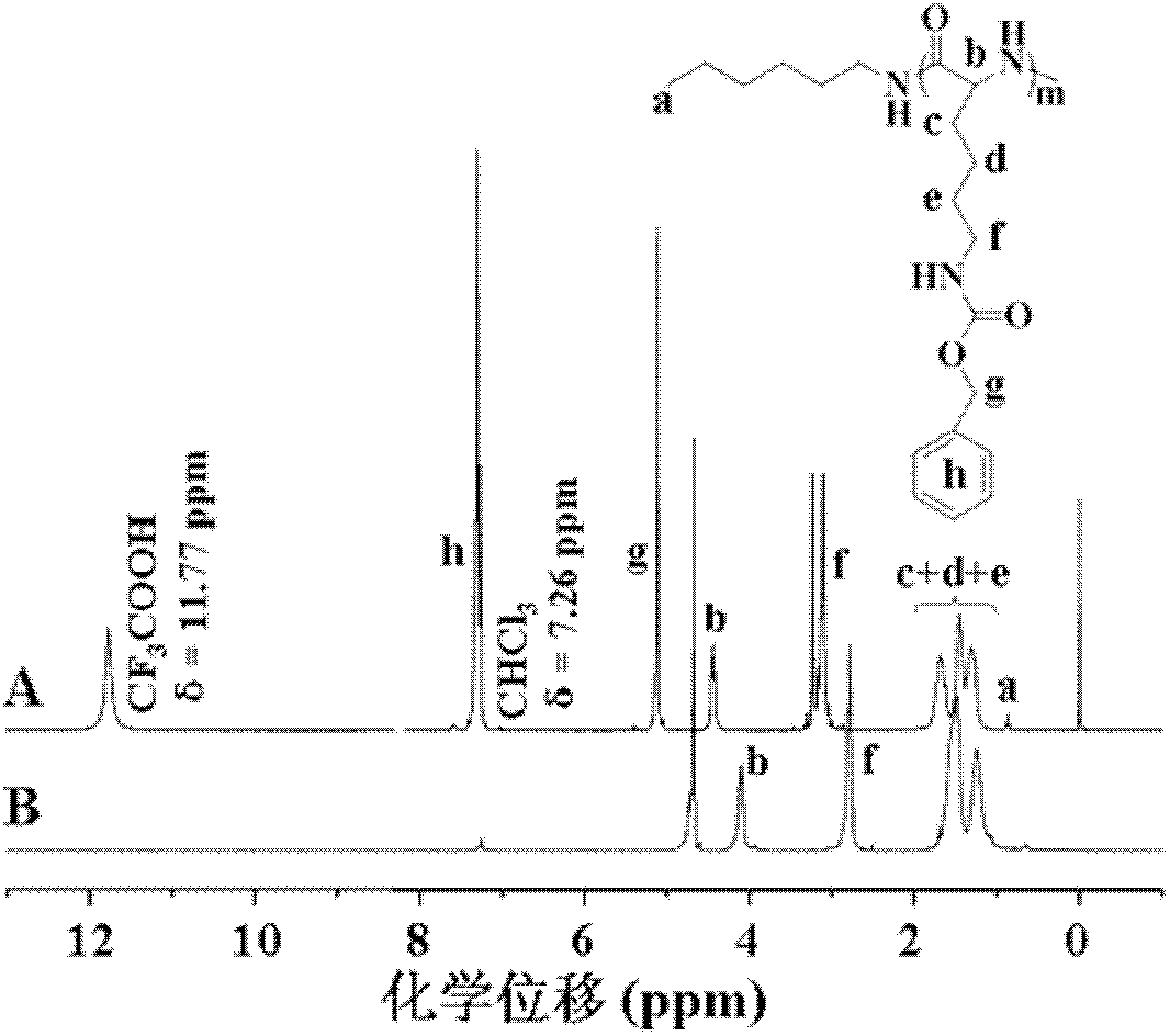 High molecular adriamycin bonded medicament and preparation method thereof