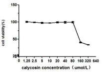 Application of calycosin in the preparation of anti-rotavirus drugs