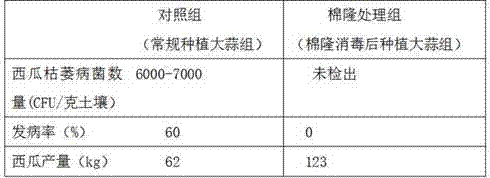 Method for shortening rotation cycle of watermelon to prevent and control fusarium wilt of watermelon