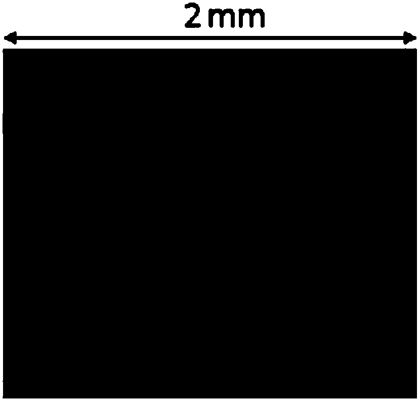 Method for homoepitaxially growing gallium nitride, gallium nitride material and application thereof