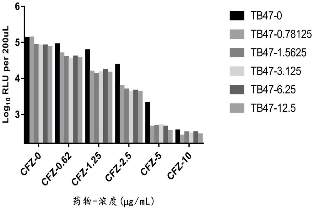 New application of pyrazolo[1,5-a]pyridine compounds and a composition for treating Mycobacterium abscessus infection