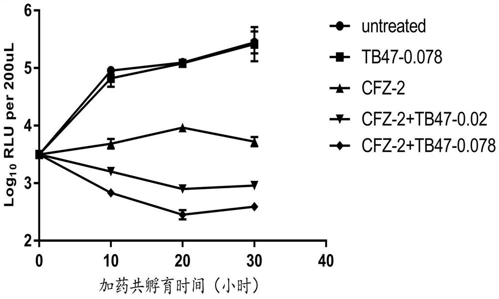 New application of pyrazolo[1,5-a]pyridine compounds and a composition for treating Mycobacterium abscessus infection