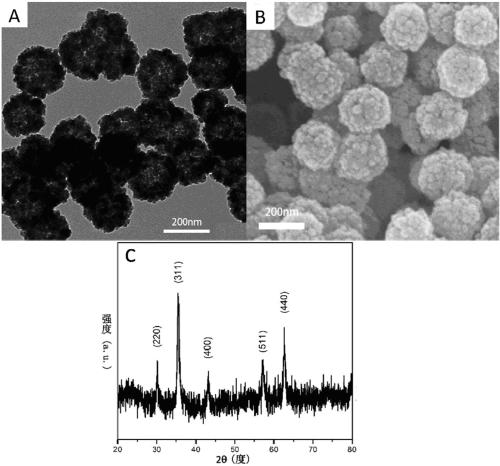 Magnetic nanometer material as well as preparation method thereof and application of magnetic nanometer material in radioactive element treatment