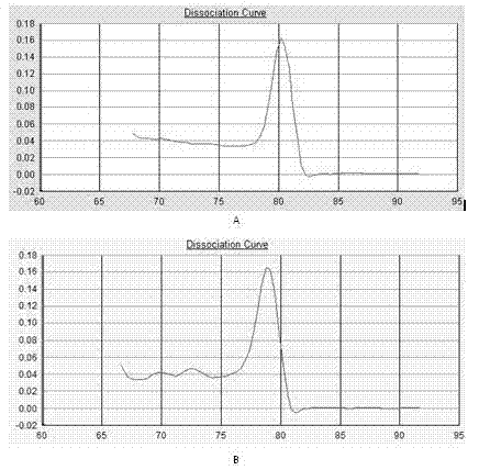 Application of KIT signal related gene QPCR (quantitative polymerase chain reaction) chip to mouse piebaldism detection