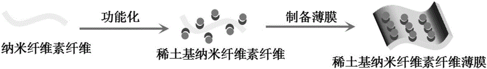 Rare earth-based nano-crystalline cellulose fiber film having ultraviolet ray filtering performance and preparation method thereof