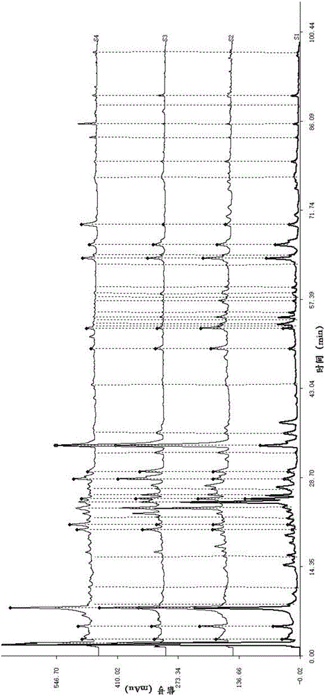 Method for identifying different varieties of Anoectochilus roxburghii based on fingerprinting