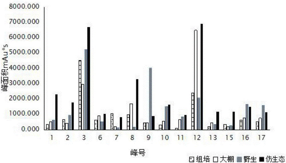 Method for identifying different varieties of Anoectochilus roxburghii based on fingerprinting