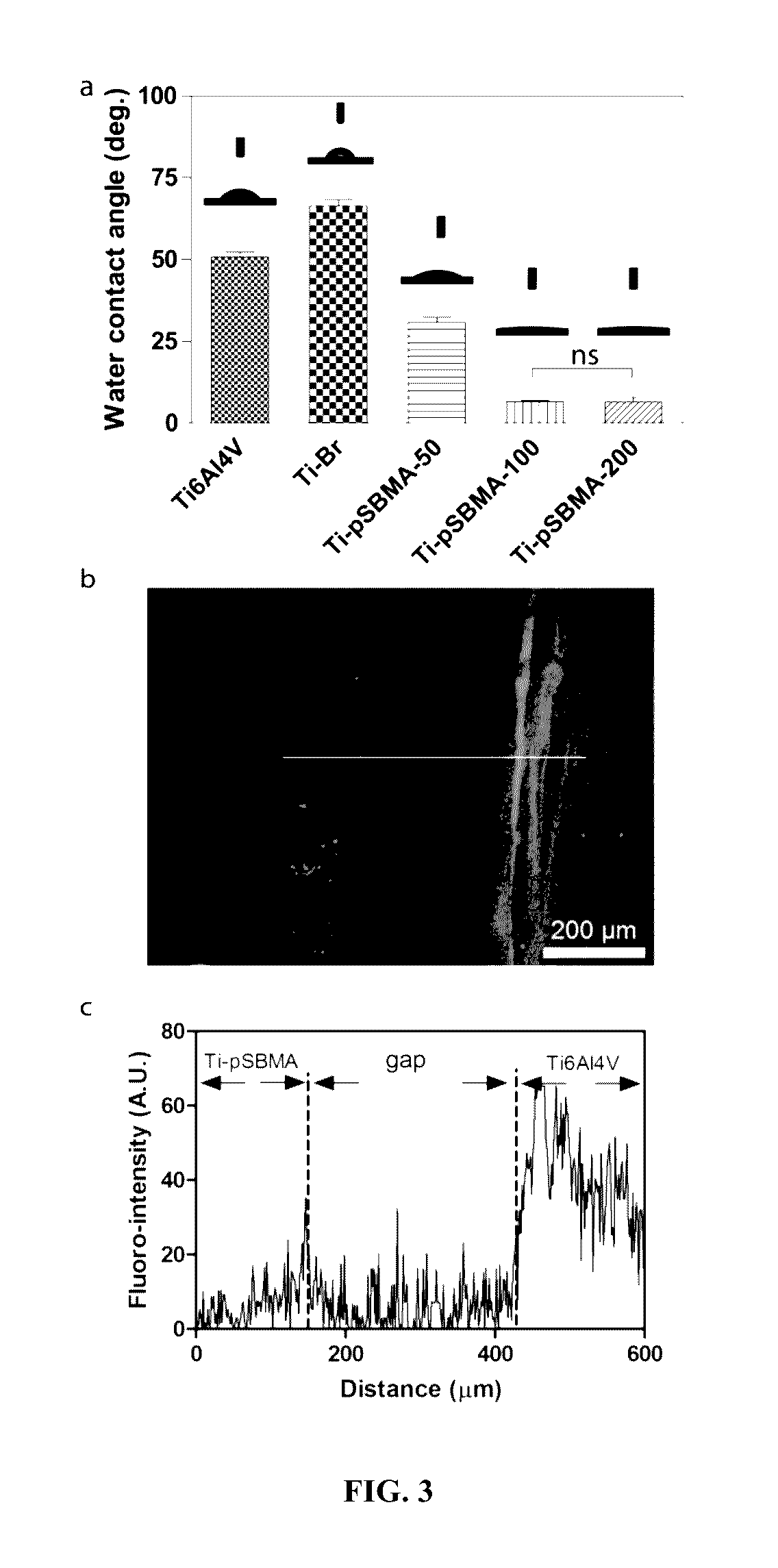 Compositions and methods for surface mineralization