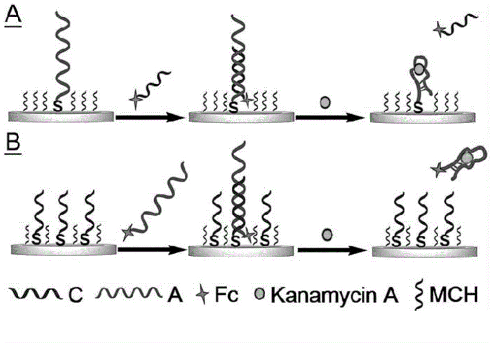Aptamer electrochemical sensor used for kanamycin A detection and production and application methods of aptamer electrochemical sensor