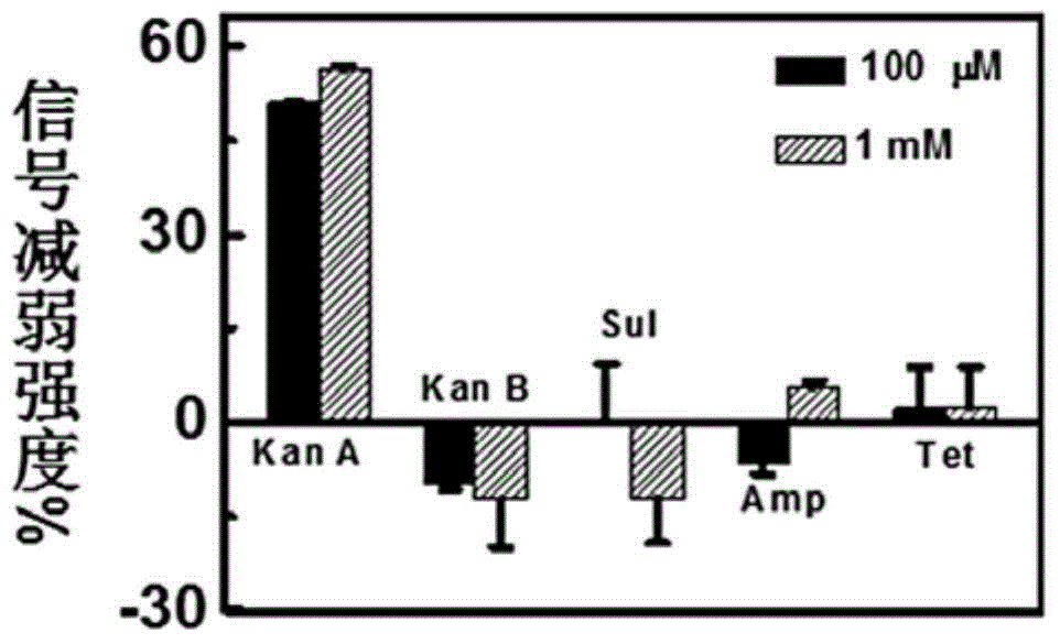 Aptamer electrochemical sensor used for kanamycin A detection and production and application methods of aptamer electrochemical sensor