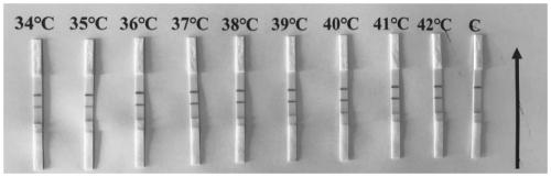 Composition, reagent kit and method for detecting mycoplasma bovis