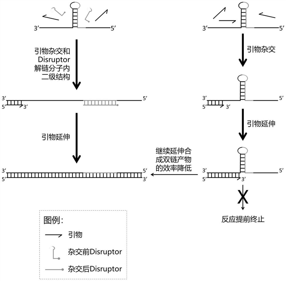 Reagent for improving replication efficiency of single-stranded nucleic acid molecule with secondary structure, nucleic acid fragment replication method and application