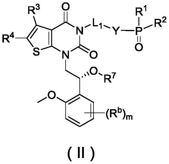 Phosphoric acid or phosphate derivatives, preparation method and medical application thereof