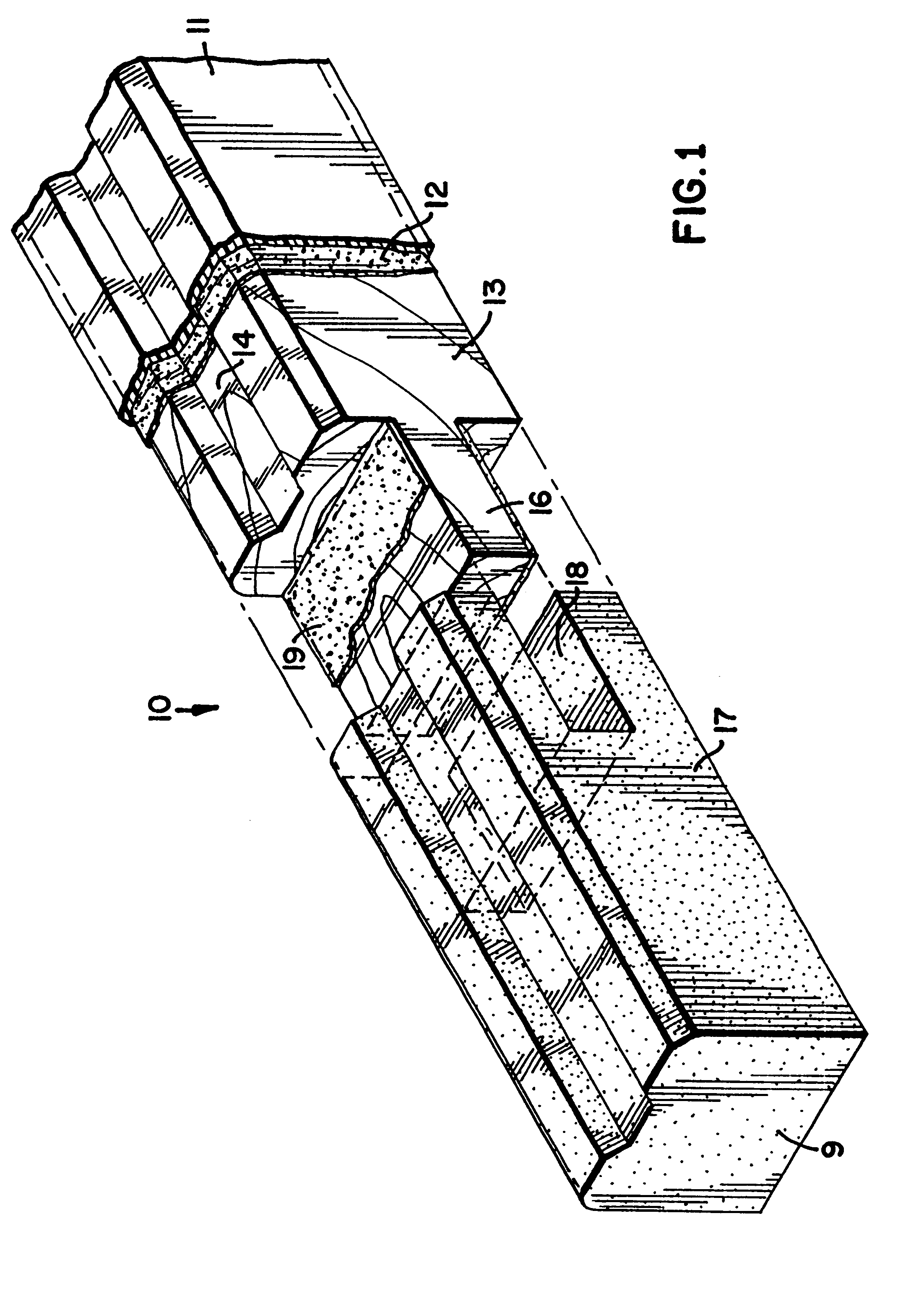 Polymer covered advanced polymer/wood composite structural member