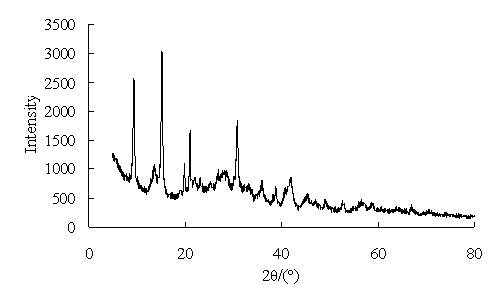 A kind of process method of dolomite producing high-purity basic magnesium carbonate