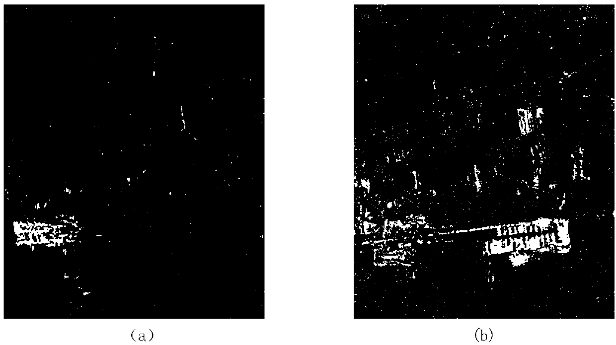 SAR image sparsing denoising method based on change detection